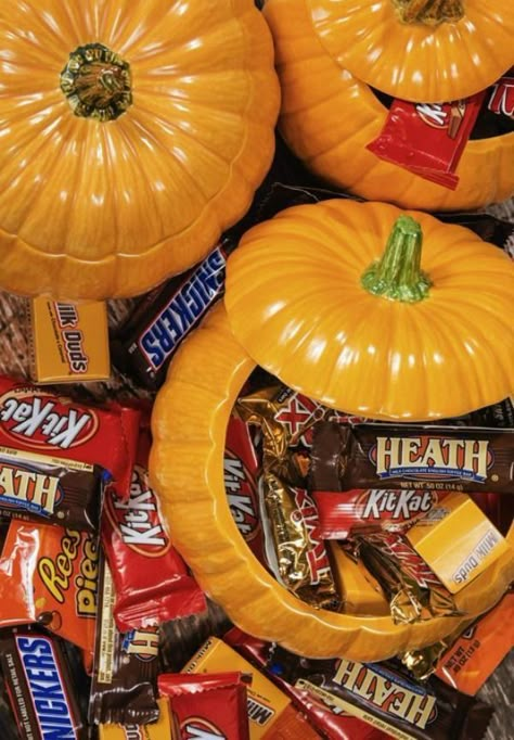 What Your Favorite Halloween Candy Says About You - Neatorama Halloween Core, Halloween Sleepover, Milk Duds, Salmon Potato, Waffle Cookies, Lunch Appetizers, Catty Noir, Pumpkin Carvings, Boo Basket