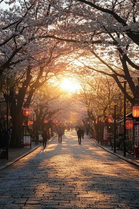 "🌸🏯 Experience the charm of Ueno Park in Tokyo! Stroll through lush gardens, visit museums, and enjoy seasonal cherry blossoms in this historic urban park. 🌳🗼 #UenoPark #Tokyo #CherryBlossoms" Ueno Park Tokyo, Japan Honeymoon, Japan Cherry Blossom, Ueno Park, Cherry Blossom Season, Urban Park, Lush Garden, Green Space, Tokyo Japan