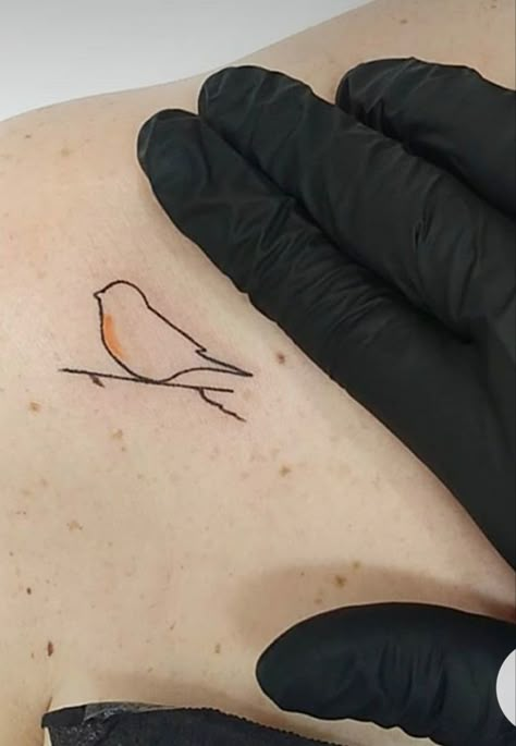 Bird Outline Tattoo, Robin Bird Tattoos, Robin Tattoo, Small Bird Tattoos, Tiny Bird Tattoos, Cardinal Tattoo, Bluebird Tattoo, Mo Ganji, Cardinal Tattoos