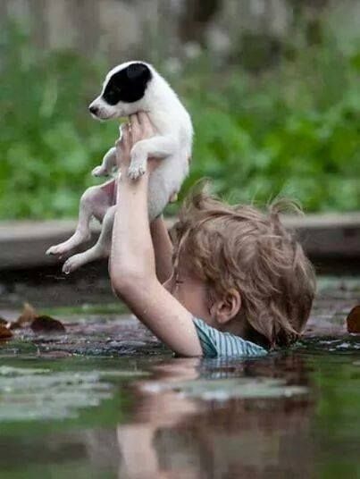 #Serbia #floods #2014 #help - Little kid saving his dog Love My Dog, Angels Among Us, Jolie Photo, 인물 사진, Faith In Humanity, Small Dog, Jack Russell, Mans Best Friend, Animals Friends