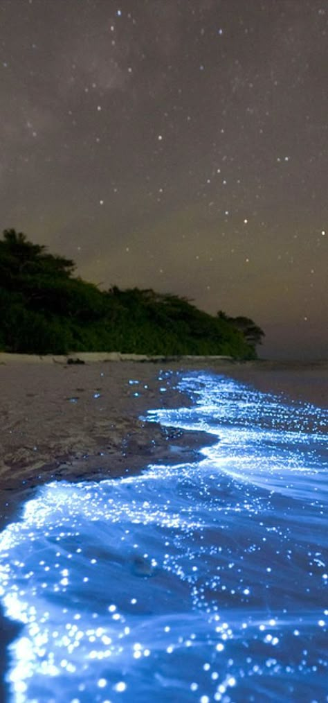 Sea of Stars caused by microscopic organisms called bioluminescent phytoplankton -  Vaadhoo Island in the Maldives. Vaadhoo Island, Bioluminescent Bay, Maldives Beach, Sea Of Stars, Magic Places, Stars In The Sky, Happy Soul, Backgrounds Iphone, Phone Background