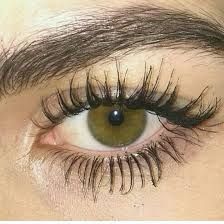 Eyelashes How To Apply, Hazel Green Eyes, Eyelash Tips, How To Grow Eyelashes, Thick Lashes, Eyelashes Mascara, Aesthetic Eyes, Eyebrow Brush, Growth Serum