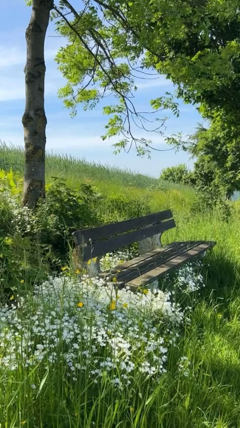 Spring Field Aesthetic, Summer Video Aesthetic, Green Field, Pretty Landscapes, Beautiful Views Video, Nature Gif, Beautiful Scenery Nature, Alam Yang Indah, Garden Cottage