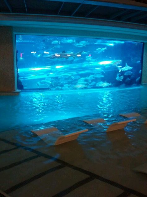 Side view of the Shark Tank/Pool Slide at the Golden Nugget in Las Vegas! Shark Tank In House, Ocean Architecture, Shark Pool, Pet Room, Tank Pool, Golden Nugget, Pool Slide, Animal Room, Fantasy House