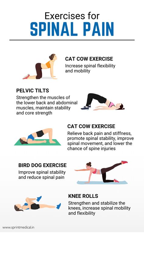 5 Exercises for Spinal Pain Spinal Strengthening Exercises, Spinal Extension Exercise, Spine Exercises Physical Therapy, Physical Therapy Back Exercises, Lumbar Strengthening Exercises, Spinal Canal Stenosis Exercises Exercises, Spine Stretching Exercises, L5 S1 Pain Relief Exercise, Spinal Decompression Exercises