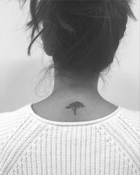 Acacia Tree Tattoo, Acacia Tattoo, Africa Tattoo, Jonboy Tattoo, Africa Tattoos, African Tattoo, Tree Tattoos, Tree Tattoo Designs, Acacia Tree