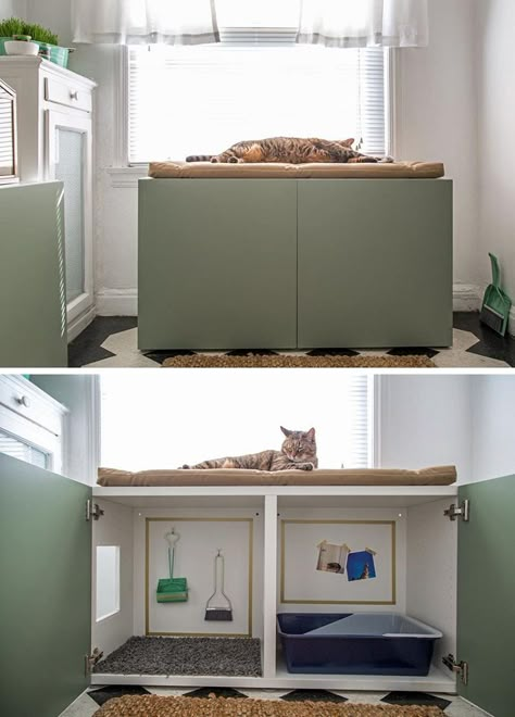 idées pour transformer un vieux placard en meuble cache litière pour chat Cat Litter Box Diy, Hiding Cat Litter Box, Diy Litter Box, Hidden Litter Boxes, Litter Box Ideas, Katt Grejer, Litter Box Covers, Litter Box Furniture, Cat Litter Box Furniture