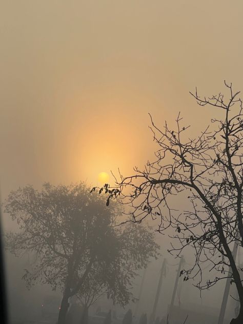 insta: anastsia01 Winter Sunrise Mornings, Fog Autumn, Morning Aesthetic, Winter Sunrise, Morning Sunrise, Sun Rise, Winter Mornings, Autumn Fall, Winter Collection