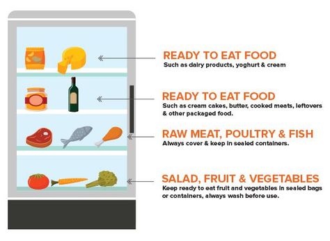 Do You Know Which Fridge Shelves You Should Store Your Food On? https://www.highspeedtraining.co.uk/hub/fridge-shelves-storing-food/?utm_content=buffer70caf&utm_medium=social&utm_source=pinterest.com&utm_campaign=buffer Kitchen Chemistry, Cool Runnings, Refrigerator Temperature, Organization Life, Food Hygiene, Apartment Deco, Best Refrigerator, Fridge Shelves, Stop Procrastinating