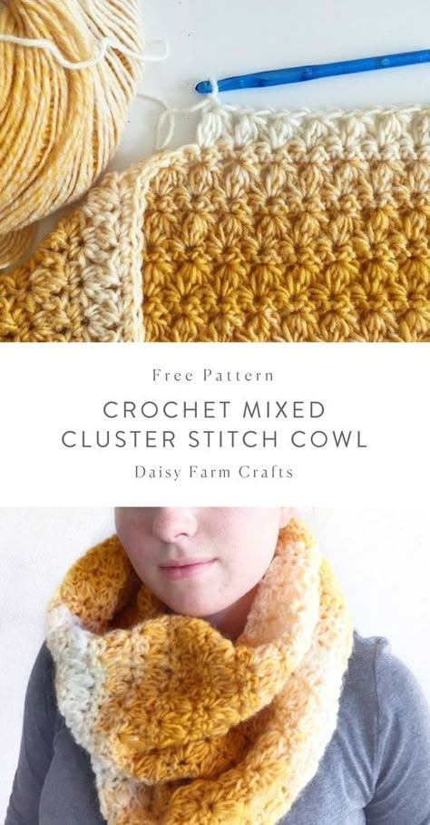 Picot Crochet, Crochet Hobby, Cluster Stitch, Daisy Farm, Cowl Patterns, Crochet Scarf Patterns, Cowl Crochet, Crochet Cowls, Crochet Cowl Pattern