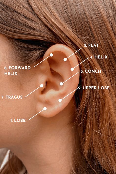 Get your ears pierced in Antwerp, Brussels, Ghent, Liège or Waterloo with Imagin Jewels. Forward Helix And Tragus, Upper Ear Piercing, Gold Piercings, Upper Lobe Piercing, Minimalist Ear Piercings, Getting Your Ears Pierced, Ear Piercings Chart, Piercing Chart, Types Of Ear Piercings