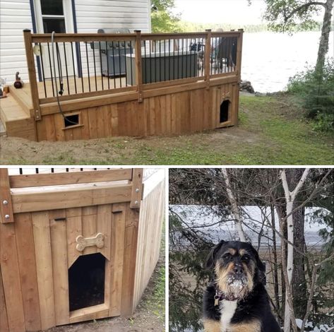 Dog House With Deck, Under Deck Dog House, Dog Kennel Under Deck, Under Deck Dog Area, Porch Organization, Rv Porch, Backyard Dog Area, Outside Dog Houses, Doggie Door