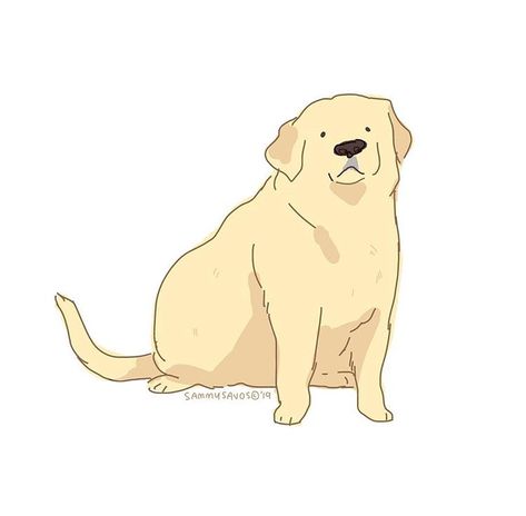 sammy savos on Instagram: “this is a fat dog i drew a while ago at work while i was trying out a new tablet :') #dog #dogs #puppy #puppies #lab #labs #yellowlab…” Yellow Things Drawing, Lab Drawing Reference, Person With Dog Reference, Cute Labrador Drawing, Hamotzi Dog, Labrador Puppy Drawing, Yellow Lab Drawing, Drawing Labrador, Sammy Savos