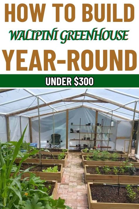 How to Build a Walipini Greenhouse for Growing Year-Round Walipini Greenhouse Design, Greenhouse Design Interior, Walapini Greenhouse, Walipini Greenhouse Diy, Hidden Greenhouse, Building A Greenhouse Diy, Diy Greenhouse With Old Windows, Greenhouse Blueprints, In Ground Greenhouse