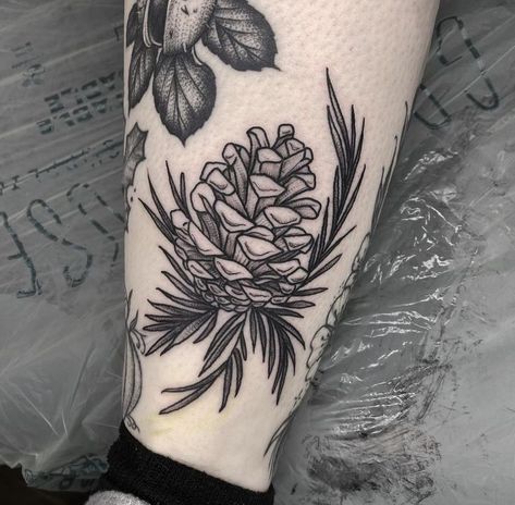 Pinecone Tattoo, Pine Tattoo, American Traditional Tattoo Ideas, Traditional Tattoo Ideas, Mushroom Tattoos, Botanical Tattoo, Stylist Tattoos, Calf Tattoo, Tattoo Project