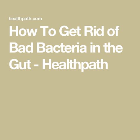 How To Get Rid of Bad Bacteria in the Gut - Healthpath Small Intestine Bacterial Overgrowth, Candida Overgrowth, Nutritional Therapist, Candida Albicans, Gut Bacteria, Large Intestine, Health Journey, Good And Bad, Functional Medicine