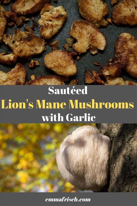 Sauteed Lions Mane Mushroom, How To Prepare Lions Mane Mushrooms, Cooking Lions Mane Mushroom, How To Cook Lions Mane Mushrooms, Lion Mane Mushroom Recipe, Lions Mane Recipes, Lions Mane Mushroom Recipe, Mushroom Meals, Mushrooms Sauteed