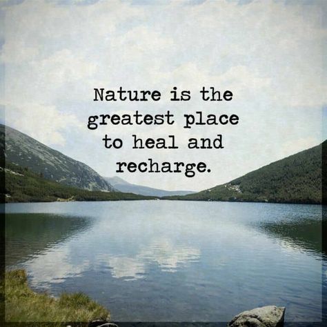 Nature Lover Quotes, Walking Quotes, Nature Quotes Inspirational, Therapy Quotes, 15th Quotes, Hiking Quotes, Lovers Quotes, About Nature, Adventure Quotes