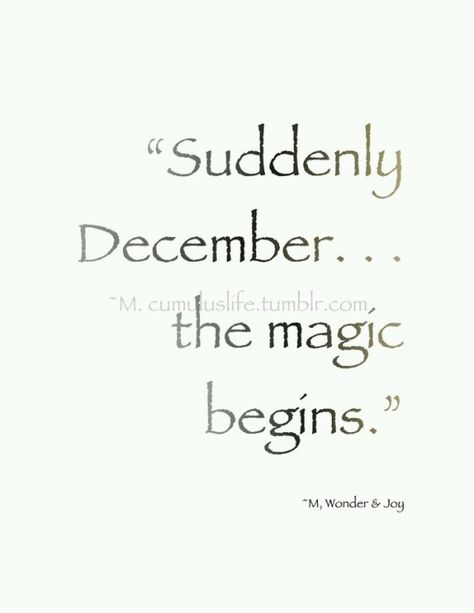 Magical December December Magic, Christmas Quotes And Sayings, Journal Year, Christmas Glamour, Christmas Cream, December Quotes, Hello January, Winter Things, Journal 2024