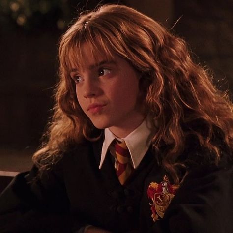 Hermione Granger Hair, Hermione Granger Icons, Emma Watson Icons, Tumblr Thoughts, Halloween Dark Academia, Hermione Granger Aesthetic, Emma Watson Harry Potter, Harry Potter Girl, Harry Potter Hermione Granger