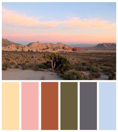 Red Rock Canyon - Mojave Desert and Vegas inspired Color Palettes | Dzzyn Desert Quilt, Desert Color Palette, Pallet Pictures, Colour Crush, Spring Family Pictures, Sunset Color Palette, Cactus Pictures, Sunrise Colors, Desert Colors