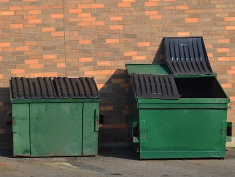 What Can You Put in a Dumpster? An Ultimate Guide | BigRentz Trash Drawing, Production Kitchen, Skeleton Painting, Roll Off Dumpster, Removing Carpet, Dumpster Rental, Dallas Skyline, Dumpsters, Yard Waste