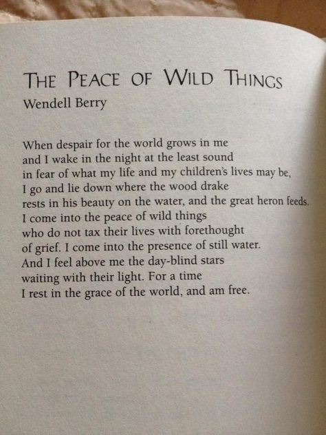 Peace Of Wild Things, Citation Nature, Wendell Berry, Good Words, Poem Quotes, Into The Wild, Nature Quotes, Wild Things, Wonderful Words