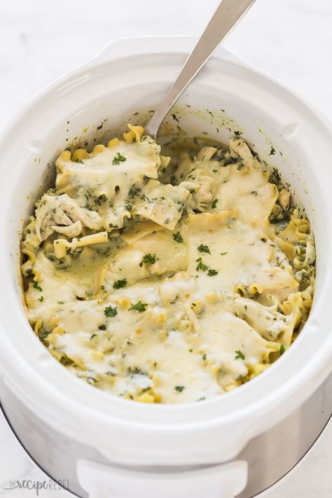 This Crockpot White Chicken Lasagna is just SIX ingredients, so creamy and flavorful, and everything cooks in one pot! With step by step recipe video down below. #slowcooker #crockpot #chicken #chickenbreast #chickenrecipe #dinner Alfredo Crockpot, Taco Lasagne, Lasagna Video, White Chicken Lasagna, Crockpot Recipes Beef Stew, Crockpot Stew, Crockpot Lasagna, Easy Lasagna Recipe, Easy Crockpot Chicken