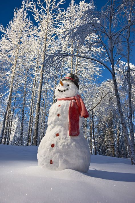 Snowman Real, Christmas Eve Day, Winter Date Ideas, Snowman Photos, Snow Men, Snow Sculptures, I Love Snow, Black Top Hat, Snow People