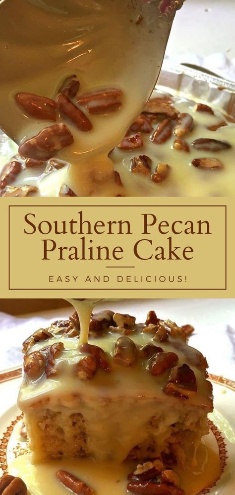 If you like pecans and pralines, if you like cake, and if you like EASY, you will love this delicious and decadent Southern Pecan Praline Cake recipe. Not only is it easy to make, but it also freezes beautifully. Perfect for Thanksgiving, Christmas, potluck, last minute dinner guests and more. Southern Pecan Praline Cake, Pecan Praline Cake, Holiday Desserts Thanksgiving, Dessert Thanksgiving, Southern Recipes Desserts, Praline Cake, Praline Recipe, Future Chef, Pecan Praline