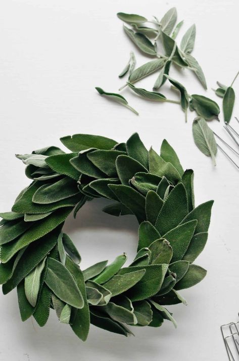 sage leaves on a foam wreath Sage Wreath, Sage Uses, Doorway Decor, Rainy Day Crafts, Sage Leaves, Bath Art, Wedding Table Flowers, Floral Pins, Garden Club