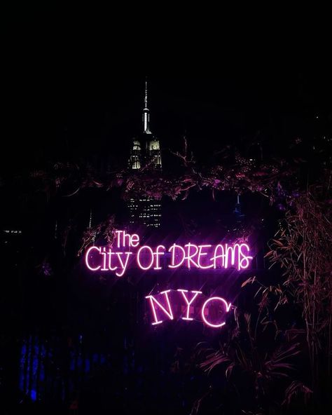 City That Never Sleeps Aesthetic, Nyc Rooftop, Rich Girl Lifestyle, New York Aesthetic, I Love New York, Girl Lifestyle, City That Never Sleeps, Dream City, Rich Girl