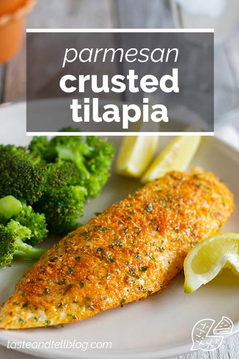 This Parmesan Crusted Tilapia is a simple fish recipe that is done in 20 minutes and will even impress non-fish lovers! #recipe #fish #tilapia #easydinner #dinner How To Cook Tilapia, Tilapia Recipes Easy, Parmesan Crusted Tilapia, Crusted Tilapia, Fish Dinner Recipes, Delicious Seafood Recipes, Tilapia Recipes, Easy Fish Recipes, Fish Recipes Healthy