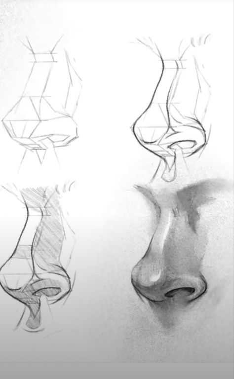 Antomany Drawing, Face Study Reference, Illustration Nose, Drawing A Nose, Nose Anatomy, Nose Sketch, Nose Reference, Pencil Drawing Tutorial, Art Anatomy