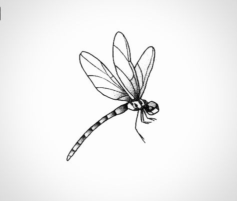 Cute Dragonfly Drawing, Japanese Dragonfly Tattoo, Dragonfly Tattoo Black, Dragon Fly Stencil, Dragonfly Tattoo Drawing, Dragon Fly Outline, Simple Dragonfly Drawing, Dragon Fly Drawings, Dragonfly Tattoo Stencil