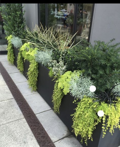 Planter Boxes Front Yard, Front Yard Planters, Long Planter, Courtyard Gardens Design, Potted Plants Outdoor, Back Garden Design, Front Landscaping, Patio Garden Design, Flower Pots Outdoor