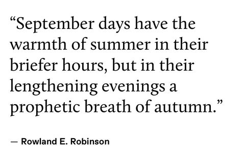 September Quotes Aesthetic, September Aesthetic Quotes, Quotes About September, September Aesthetic Month, September Quotes Autumn, September Poem, Autumn Quotes Aesthetic, September Poetry, Acadamia Aesthetic