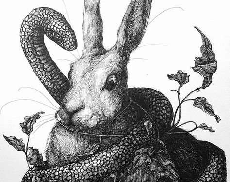 Snake And Rabbit, Vines Illustration, Pen And Ink Illustrations, Eerie Art, Hell Bent, Rabbit Tattoos, Psychadelic Art, Scary Creepy, Bunny Art