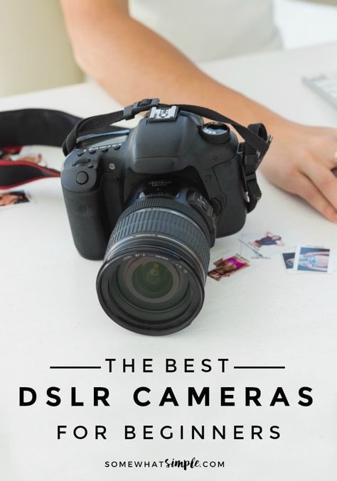 Tips for choosing the best DSLR camera for beginners without spending a fortune! Put your point-and-shoot camera down and take your photography to the next level! #DSLR #Camera #Photo #Photograpy #Tips #Lenses Best Cameras For Photography, Dslr Quotes, Cameras For Travel, Best Cameras For Travel, Dslr Backpack, Camera Basics, Camera For Photography, Cameras For Beginners, Cameras For Photography