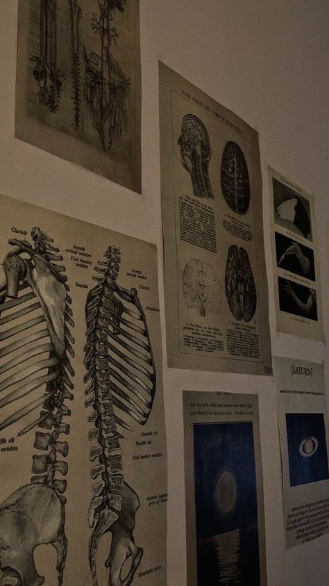 Medicine Poster Aesthetic, Med School Aesthetic Wallpaper Ipad, Osteology Aesthetic, Vintage Medical Aesthetic, Medical Aesthetic Dark, Med Student Room, Medical Aesthetic Wallpaper, Anatomy Wallpaper Aesthetic, Nurse Aesthetic Wallpaper