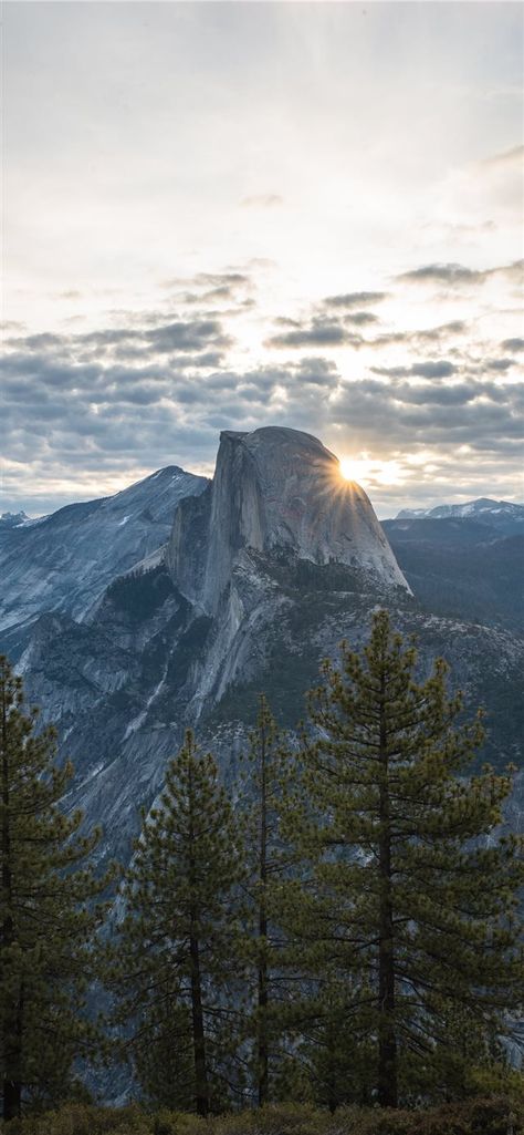 When the night is over iPhone X wallpaper  #tree #forest #cloudy #mountain #pine #yosemitevalley #UnitedStates #GlacierPoint  #Wallpaper #Background #iPhoneX #iPhoneXS #iPhoneXR Pine Tree Background, Yosemite Wallpaper, Forest Wallpaper Iphone, Wallpaper Tree, Tree Wallpaper Iphone, Tree Background, Pine Trees Forest, Mountain Wallpaper, Background Wallpapers