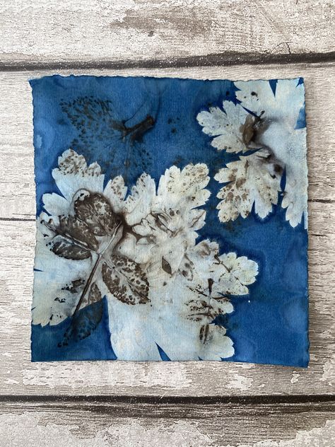 Eco printing meets cyanotype printing. Eco Printing, Golden Color, Color Change, Vintage World Maps, Color, Art