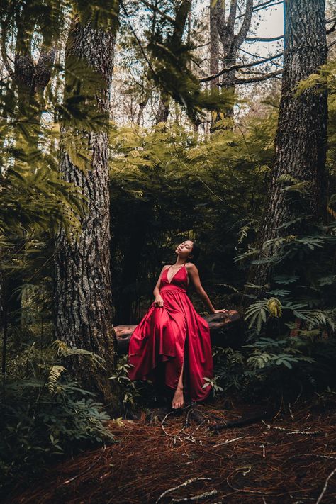 A woman in a red dress standing in a forest photo – Free Human Image on Unsplash Dark Folklore, Forest Photoshoot, Yoga Images, Horse Dress, Forest Photos, Person Sitting, Dress Stand, Red Gowns, Grey Wallpaper