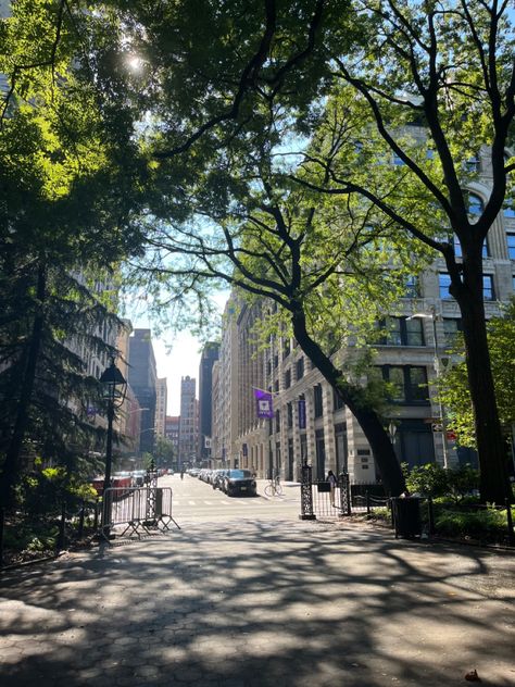 Nyu Campus Aesthetic, Nyu University, Nyu Campus, Washington Square Park Nyc, Taylor Adams, Nyu Student, Nyu Stern, September Rain, Campus Aesthetic