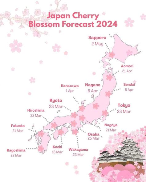 Japan Cherry Blossom Forecast 2024 Japan Honeymoon, Japan Bucket List, Spring In Japan, Japan Cherry Blossom, Dream Country, Japan Map, Cherry Blossom Japan, Japanese Language Lessons, Tokyo Japan Travel