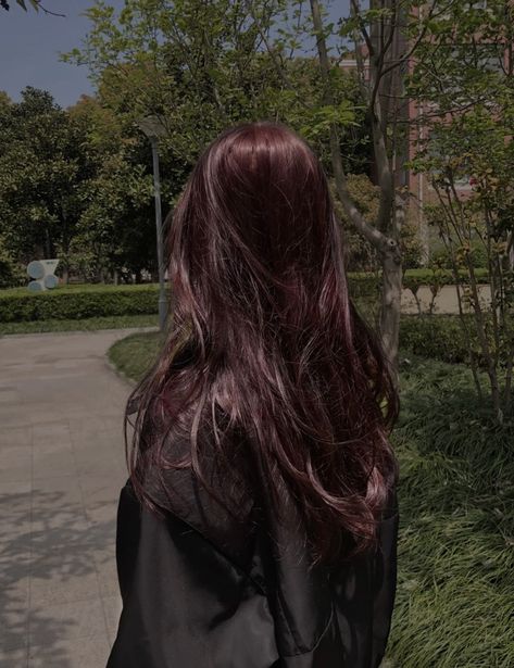 long straight wavy beautiful dark red shiny hair aesthetic glossy chinese japanese korean trendy 2022 xiaohongshu 小红书 core anime manga manhwa Tinted Red Hair Dark Brown, Dark Cherry Red Hair Asian, Aesthetic Dark Red Hair, Hair Tint For Dark Hair, Dark Red Hair Korean, Red Brown Hair Aesthetic, Dark Res Hair, Dark Red Hair Color Aesthetic, Dark Coloured Hair