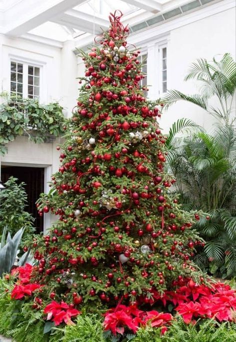 Elegant Christmas Trees, Longwood Gardens, Red Christmas Tree, Christmas Tree Inspiration, Oh Christmas Tree, Simple Christmas Tree, Xmas Trees, Beautiful Christmas Trees, Vintage Christmas Tree