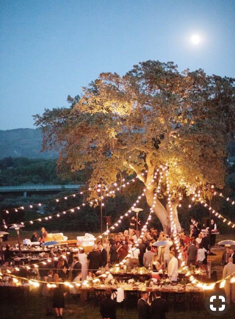 Christmas Tree Inspiration Rustic, Thanksgiving Decorations Table Setting, Thanksgiving Decorations Outdoor, Outdoor Wedding Lighting, Bistro Lights, Rustic Outdoor Wedding, Cozy Backyard, Christmas Tree Inspiration, Outdoor Wedding Decorations