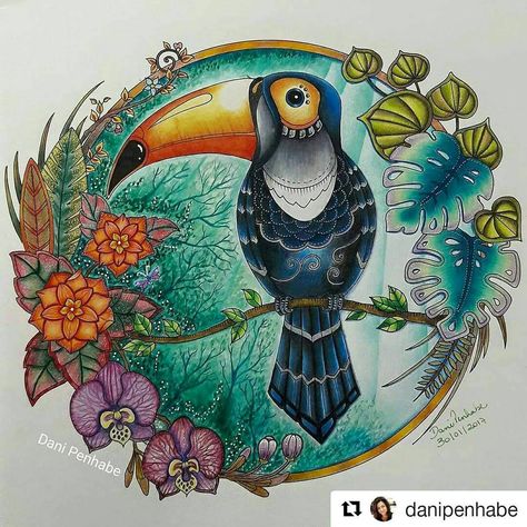 Art on Instagram: “Tucano perfeito by @danipenhabe with @repostapp Tucano do Magical Jungle Tutorial de @alebavaresco e @rpenze Livro de…” Enchanted Jungle, Magical Jungle Coloring Book, Johanna Basford Magical Jungle, Magic Jungle, Magical Jungle Johanna Basford, Johanna Basford Books, Enchanted Forest Coloring Book, Joanna Basford Coloring, Forest Coloring Book