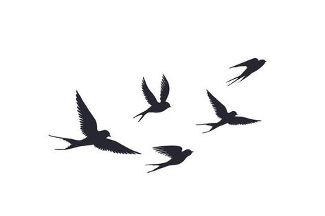 Swallow Silhouette, Flying Bird Vector, Bird Silhouette Tattoos, Tattoo Fly, Birds Silhouette, Flying Bird Silhouette, Little Bird Tattoos, Silhouette Tattoo, Vogel Silhouette